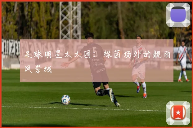 足球明星太太团：绿茵场外的靓丽风景线