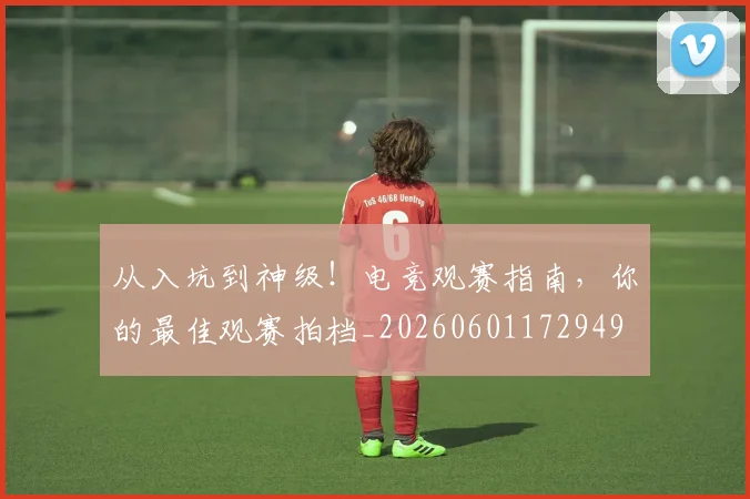 从入坑到神级！电竞观赛指南，你的最佳观赛拍档_20260601172949
